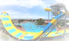 f:id:llcnagomi:20190702193141j:plain