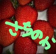 f:id:llcnagomi:20190702193257j:plain