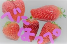 f:id:llcnagomi:20190702193314j:plain