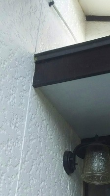 f:id:llcnagomi:20190811130431j:plain