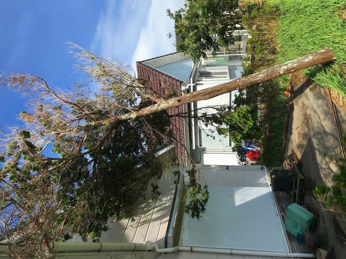 f:id:llcnagomi:20190913194431j:plain f:id:llcnagomi:20190913194431j:plain