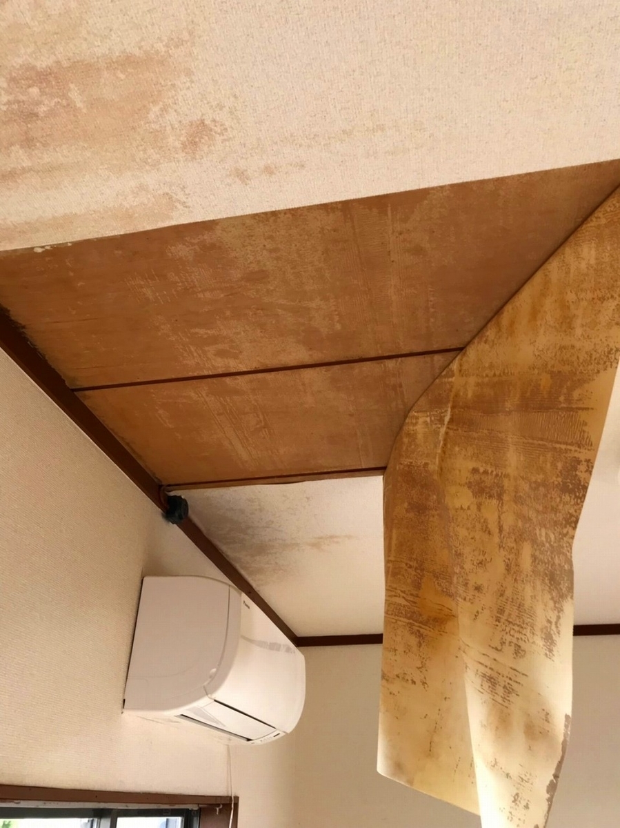 f:id:llcnagomi:20190915185100j:plain f:id:llcnagomi:20190915185100j:plain