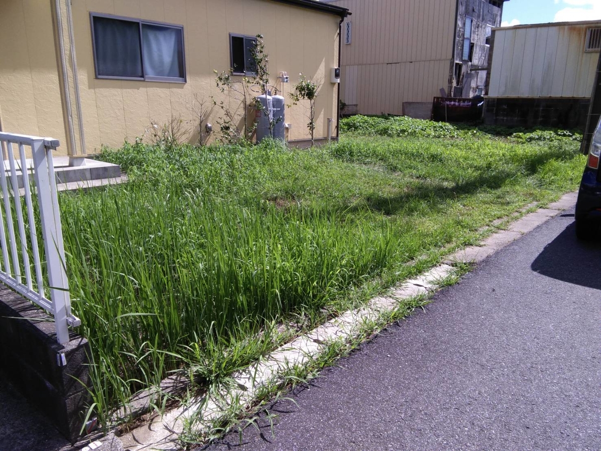 f:id:llcnagomi:20200905134456j:plain