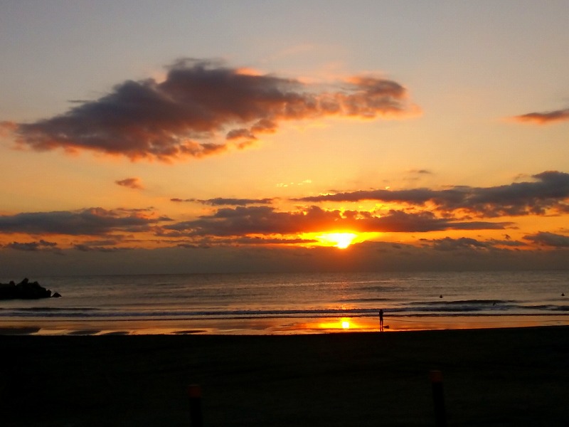 f:id:llcnagomi:20201110131408j:plain