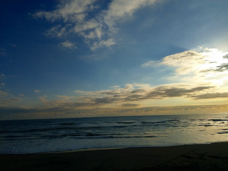 f:id:llcnagomi:20201110131450j:plain