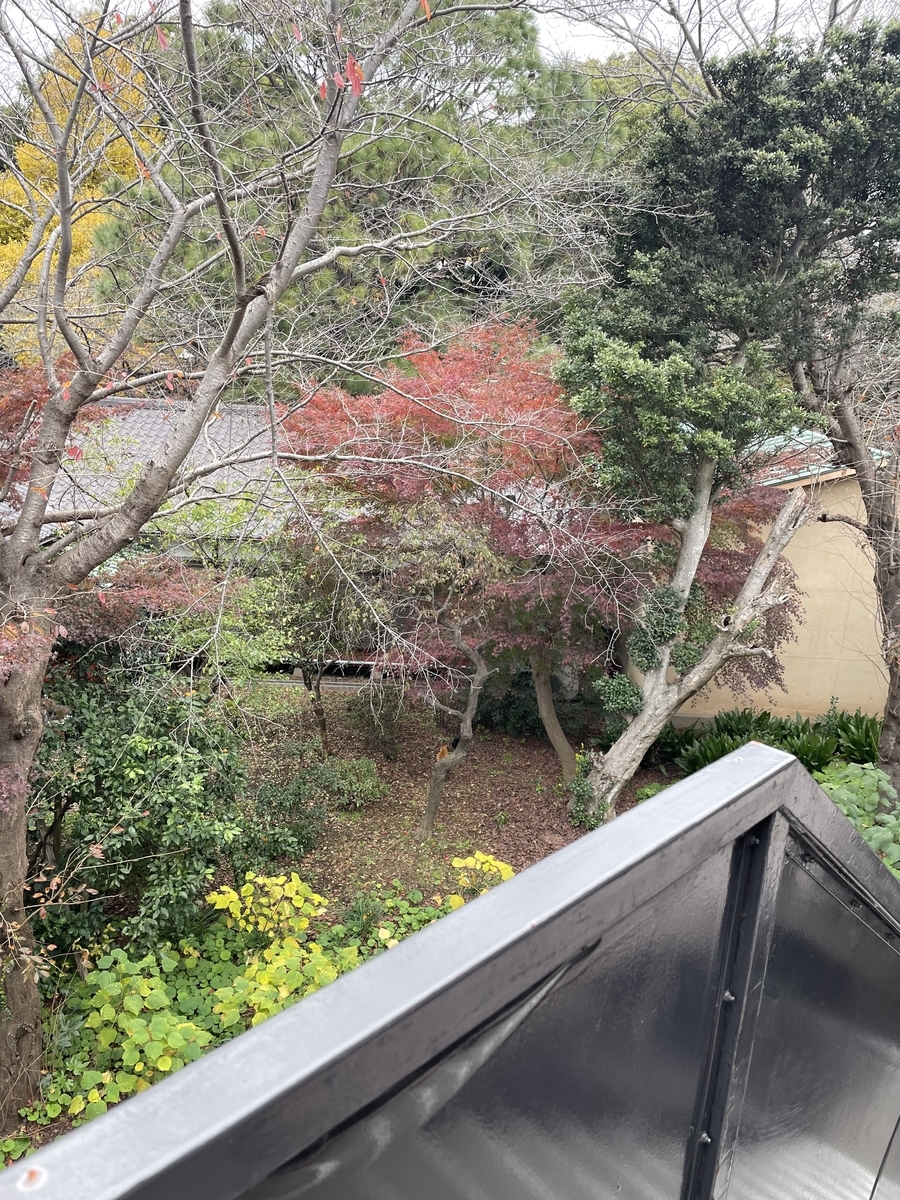 f:id:llcnagomi:20220407150524j:plain