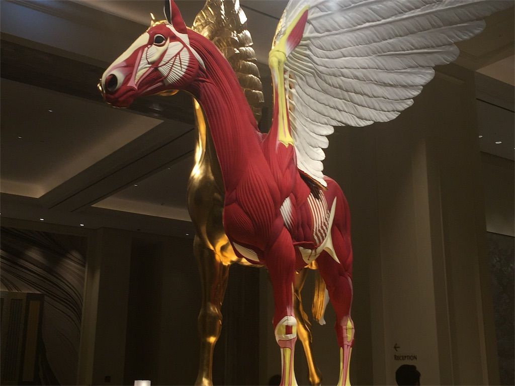 f:id:llcpastel:20171102102244j:image