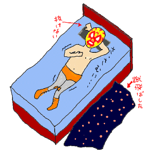f:id:llena:20080126161018g:image
