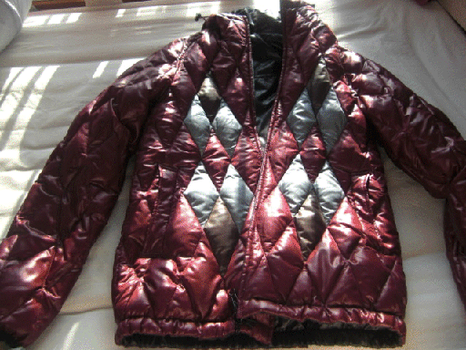 f:id:llena:20090106102801g:image