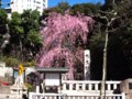 20110403090743