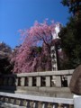 20110403124542
