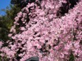20110403124848