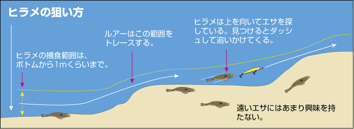 f:id:lltakatoll:20210109142203p:plain