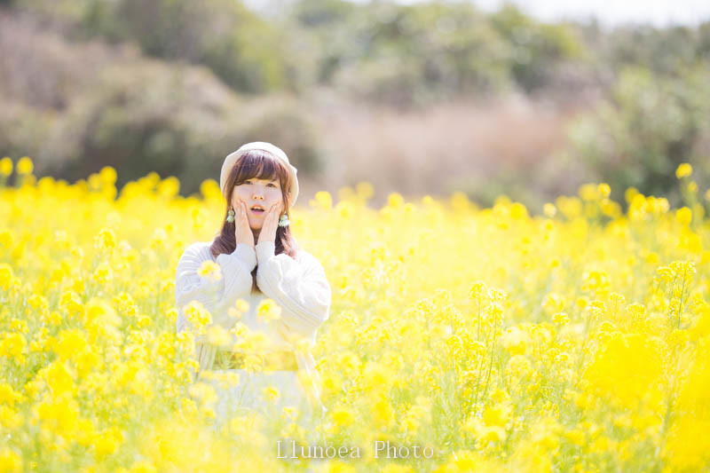 f:id:llunoea:20200705203105j:plain f:id:llunoea:20200705203105j:plain
