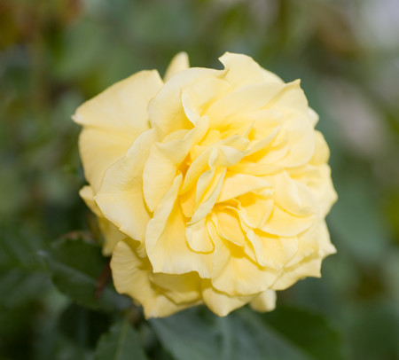 f:id:lm321:20061023145026j:image