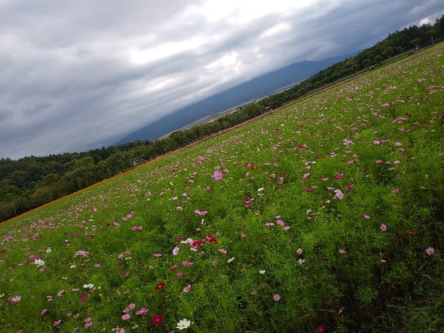 f:id:lmatome:20250930104439j:image f:id:lmatome:20250930104439j:image