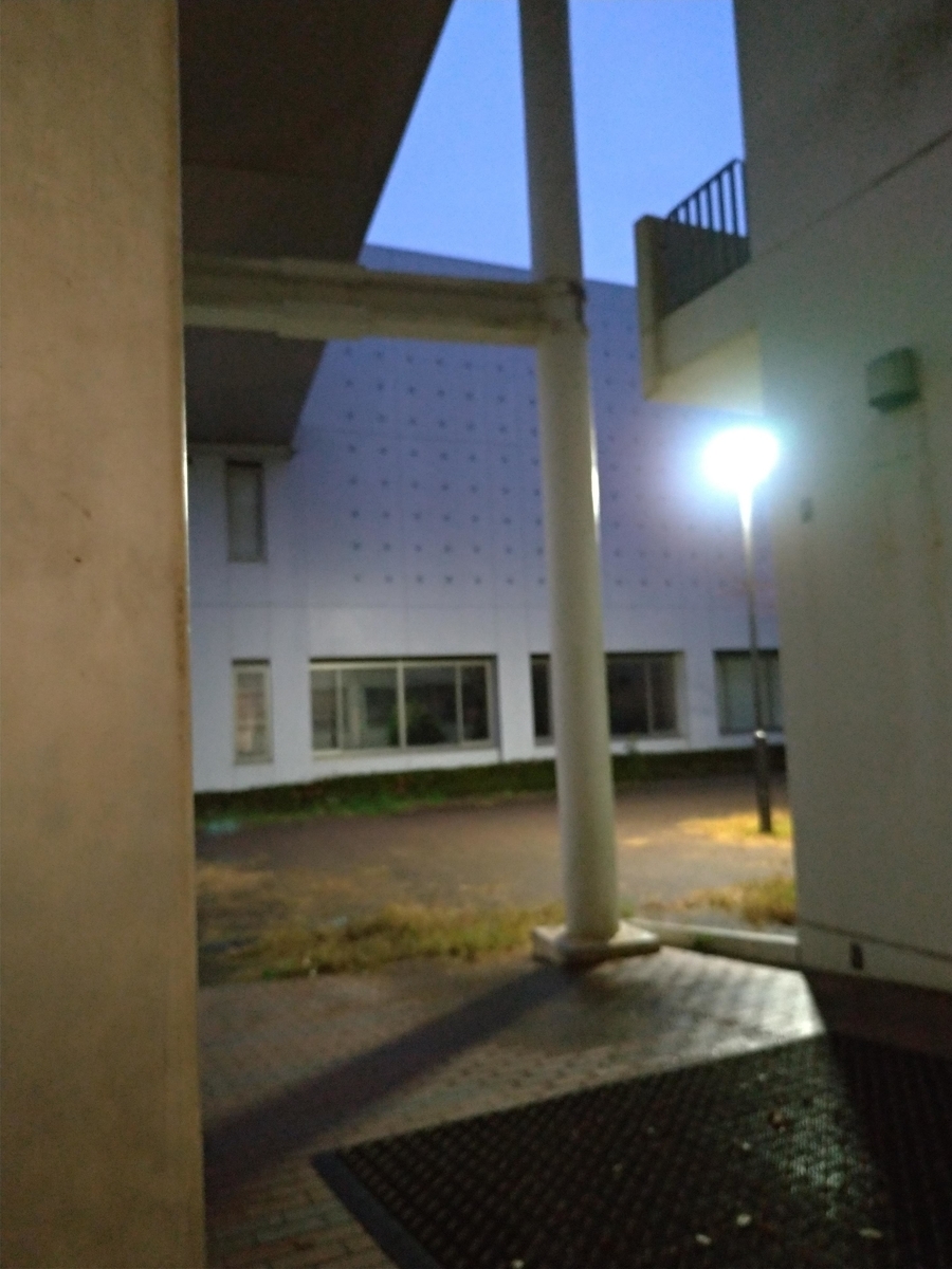 f:id:lmn8cs:20201130235027j:plain