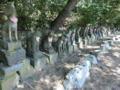 高山稲荷神社・石狐