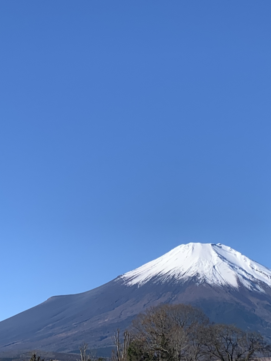 f:id:ln_north:20220225222747j:plain
