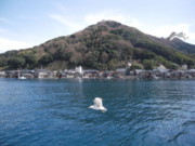 f:id:lo-tus:20110308124217j:image f:id:lo-tus:20110308124217j:image