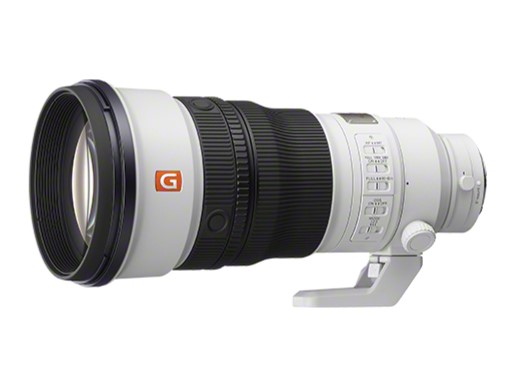 ソニー SAL300F28G2 300mm F2.8 G SSMⅡ