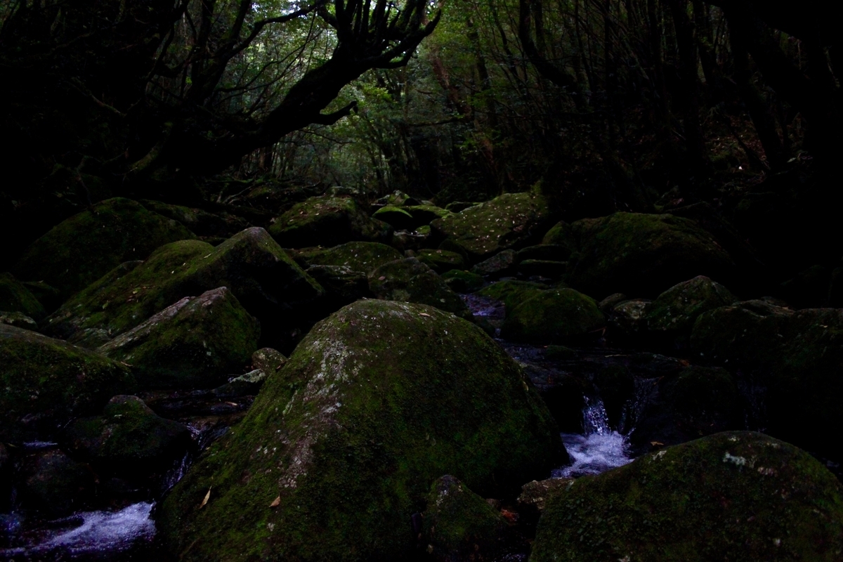 f:id:local-hunter-hiro:20190516155043j:plain
