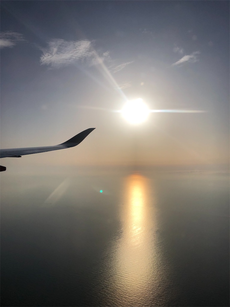 f:id:local-hunter-hiro:20191004224640j:image