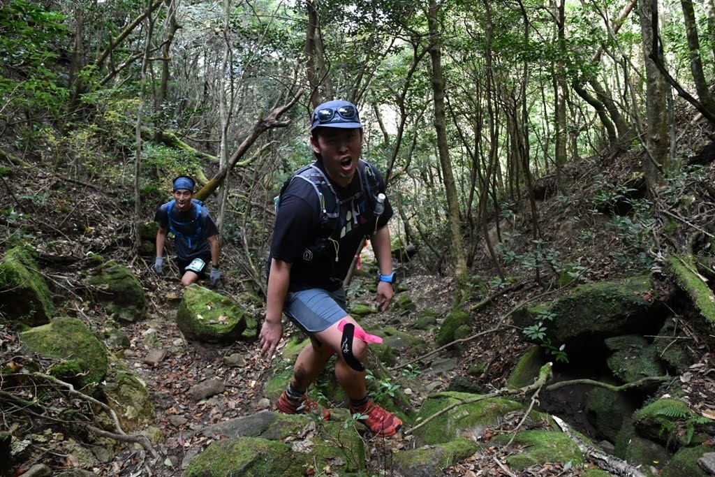 f:id:local-link-lead:20190109120248j:plain