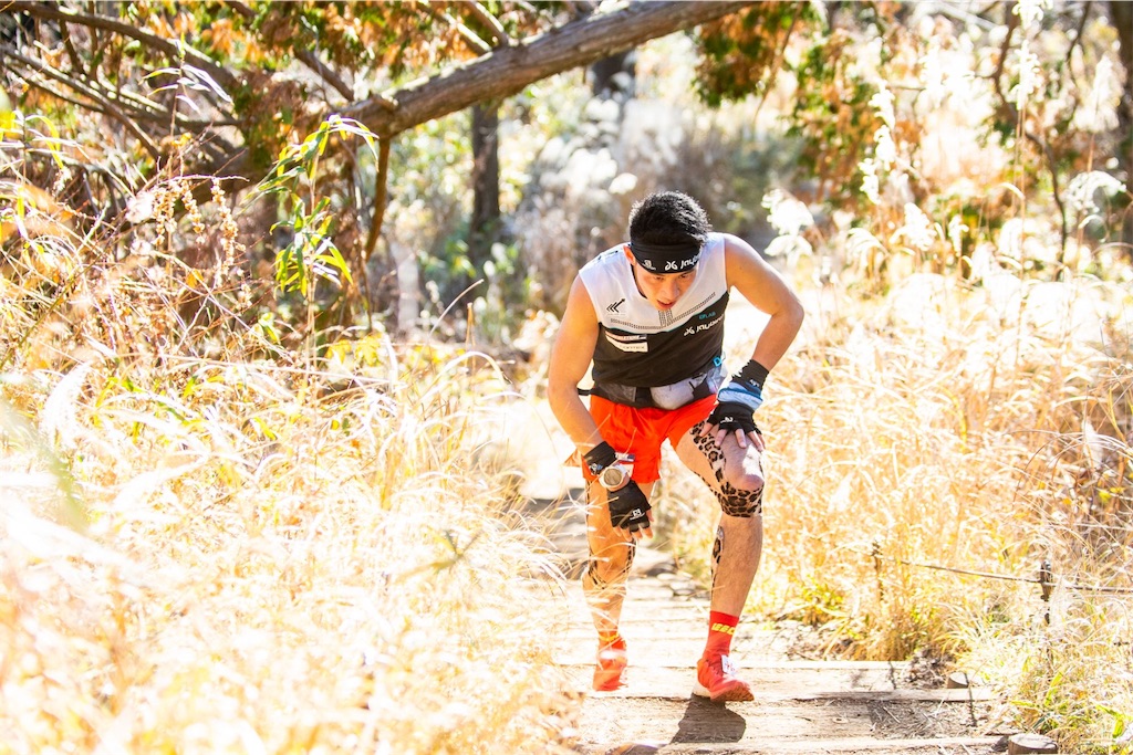 f:id:local-link-lead:20190116144328j:plain