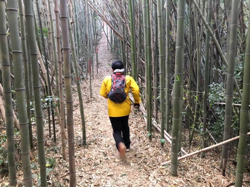 f:id:local-link-lead:20190305125820j:plain f:id:local-link-lead:20190305125820j:plain