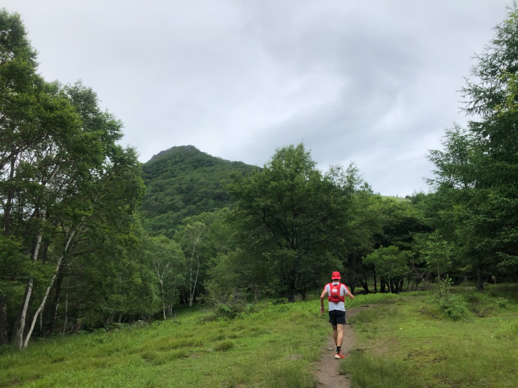 f:id:local-link-lead:20190720165442j:plain f:id:local-link-lead:20190720165442j:plain