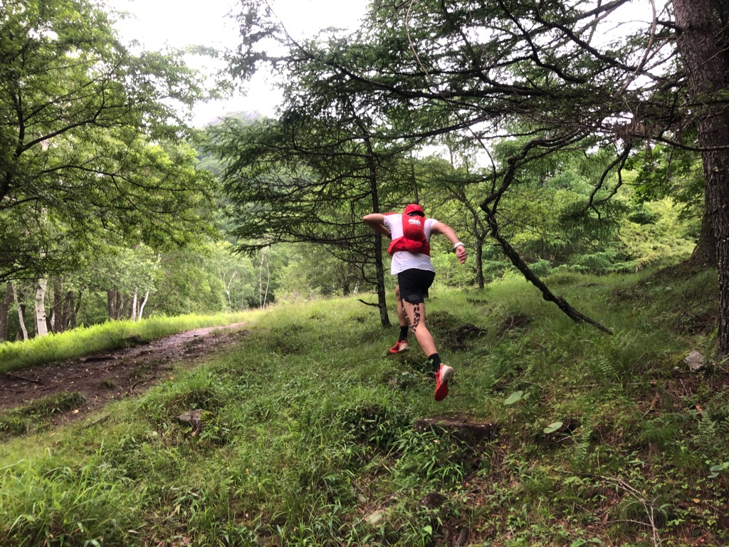f:id:local-link-lead:20190720165712j:plain f:id:local-link-lead:20190720165712j:plain