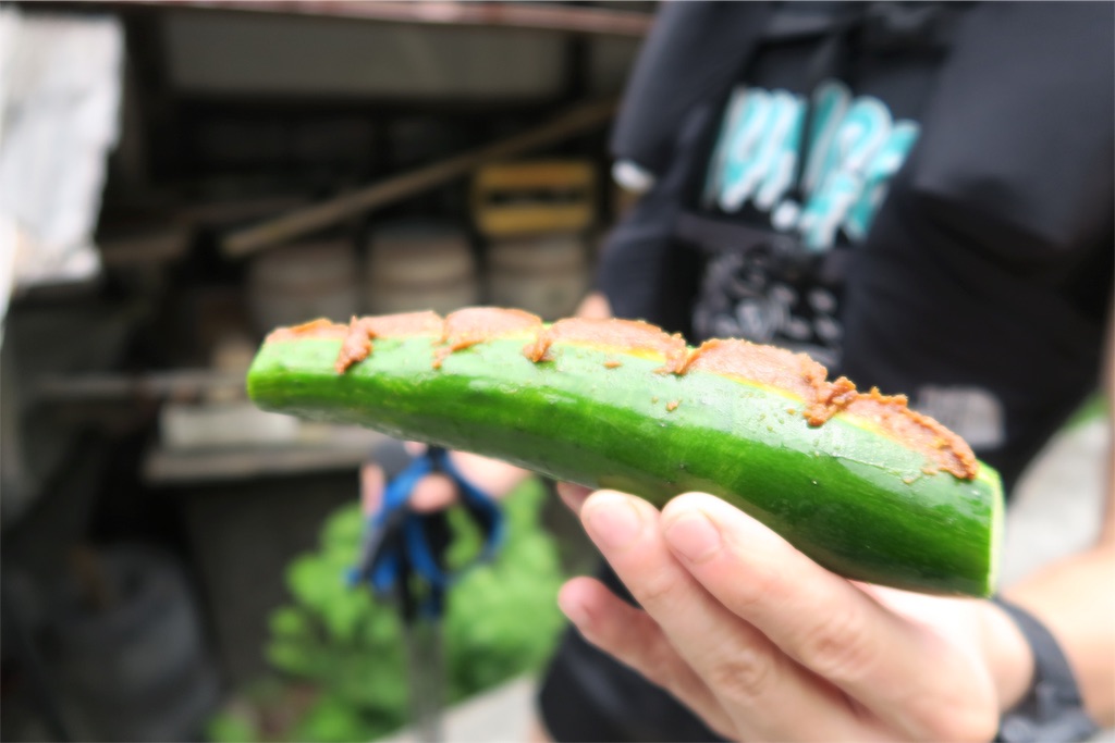 f:id:local-link-lead:20190821075733j:plain