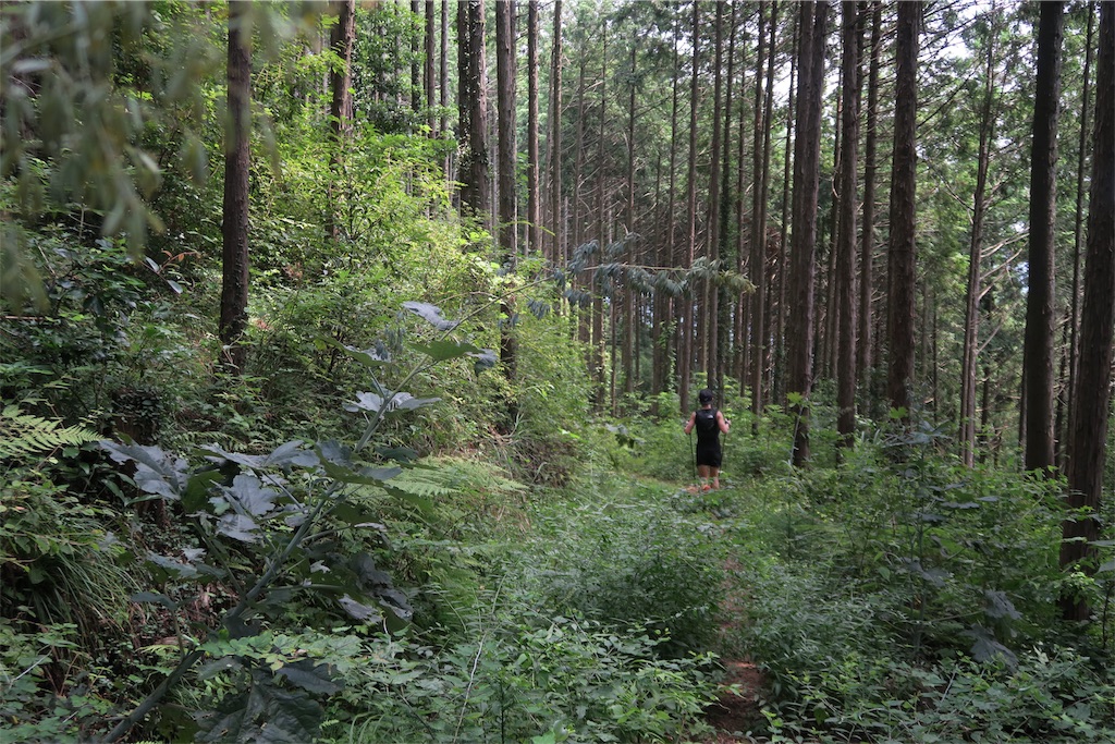 f:id:local-link-lead:20190821080230j:plain