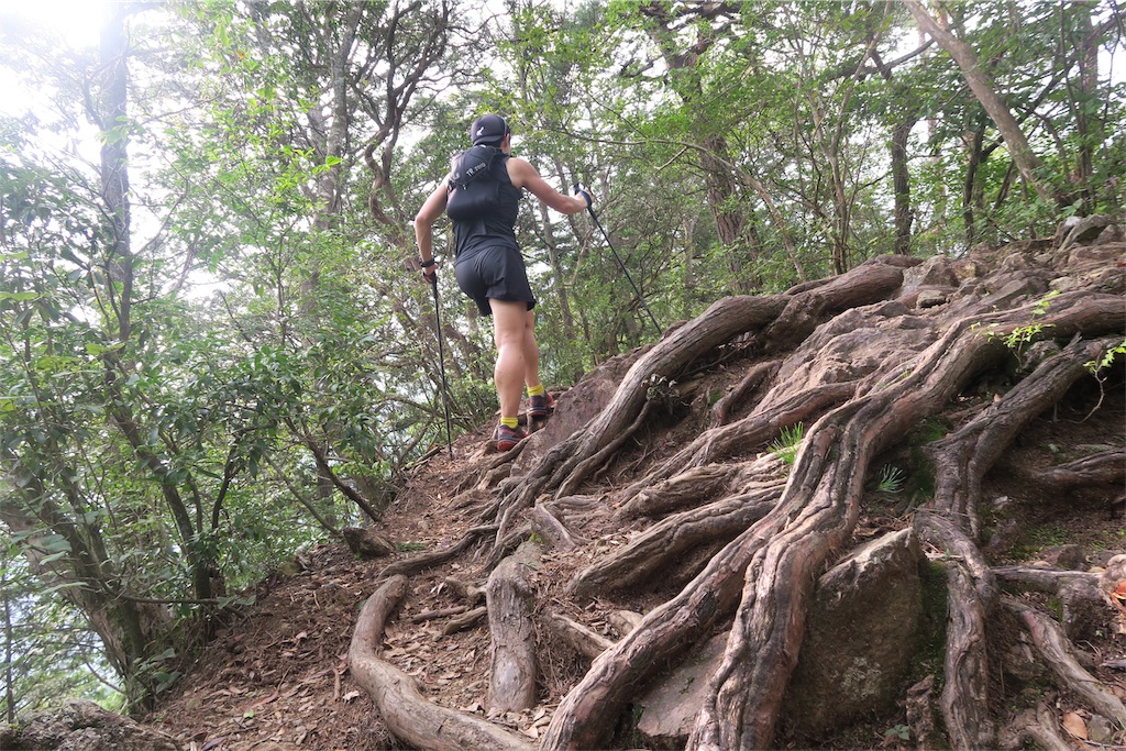 f:id:local-link-lead:20190821080544j:plain