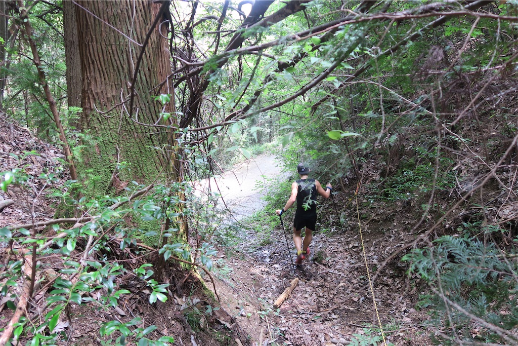 f:id:local-link-lead:20190821080547j:plain