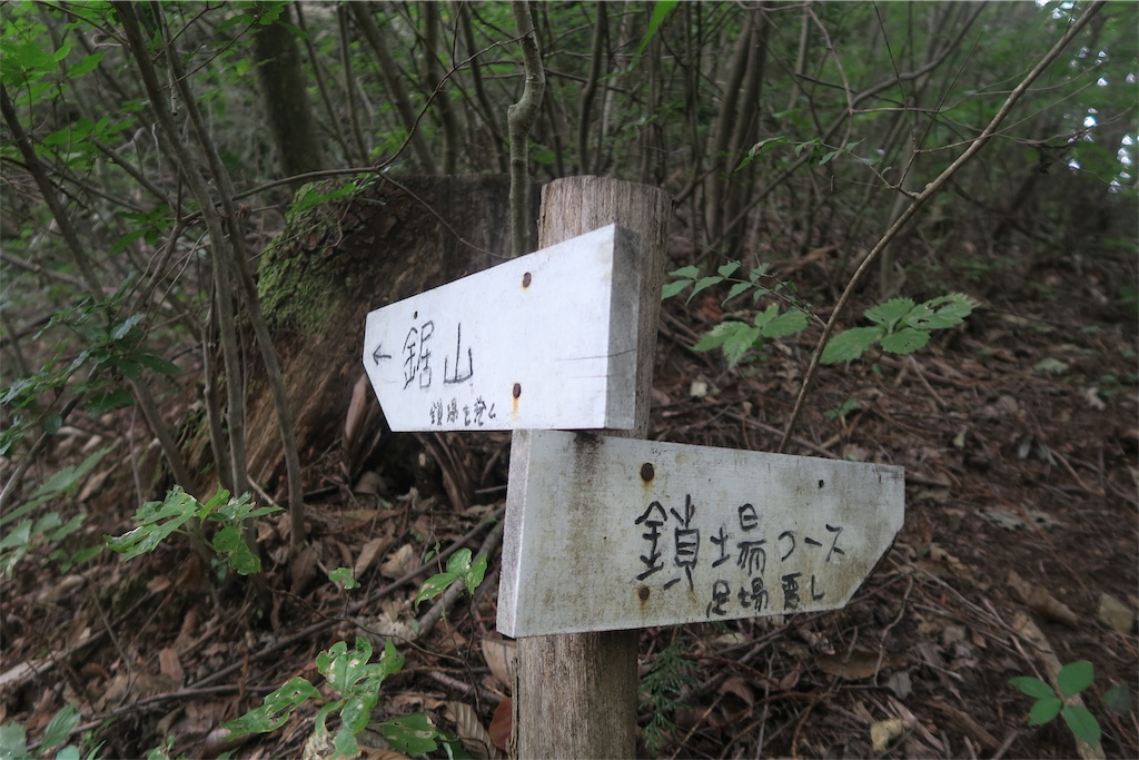 f:id:local-link-lead:20190821080802j:plain