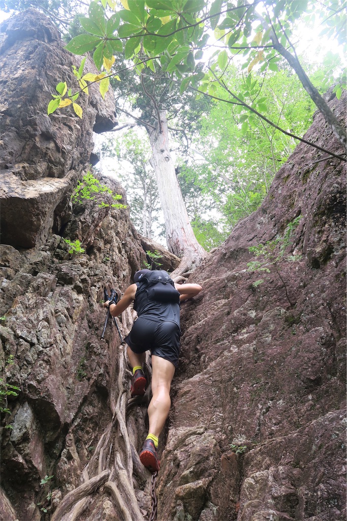 f:id:local-link-lead:20190821082009j:plain