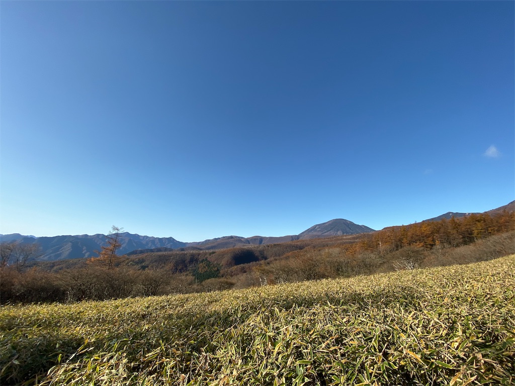 f:id:local-link-lead:20191115123529j:plain f:id:local-link-lead:20191115123529j:plain