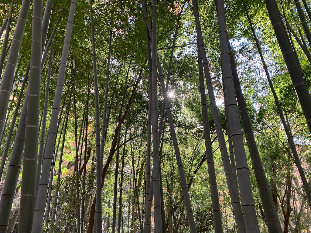 f:id:local-link-lead:20191216150854j:plain f:id:local-link-lead:20191216150854j:plain