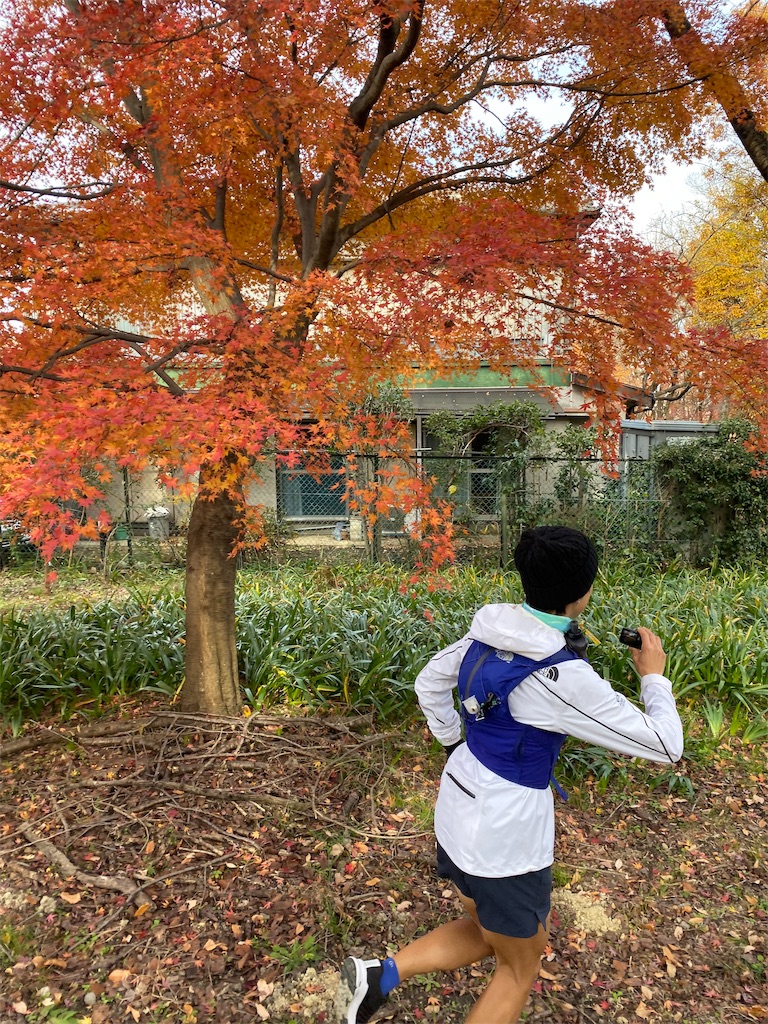f:id:local-link-lead:20191216150905j:plain f:id:local-link-lead:20191216150905j:plain