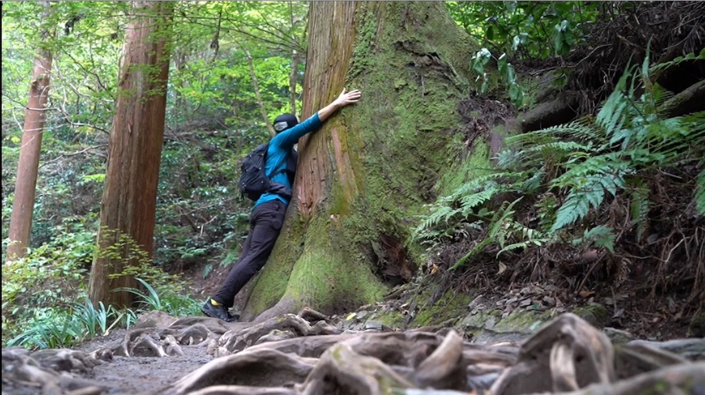 f:id:local-link-lead:20201023164426j:plain f:id:local-link-lead:20201023164426j:plain