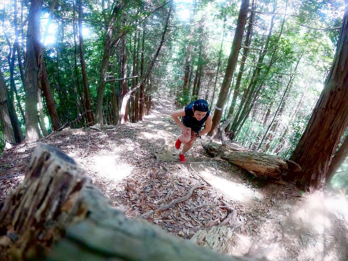 f:id:local-link-lead:20210613201319j:plain