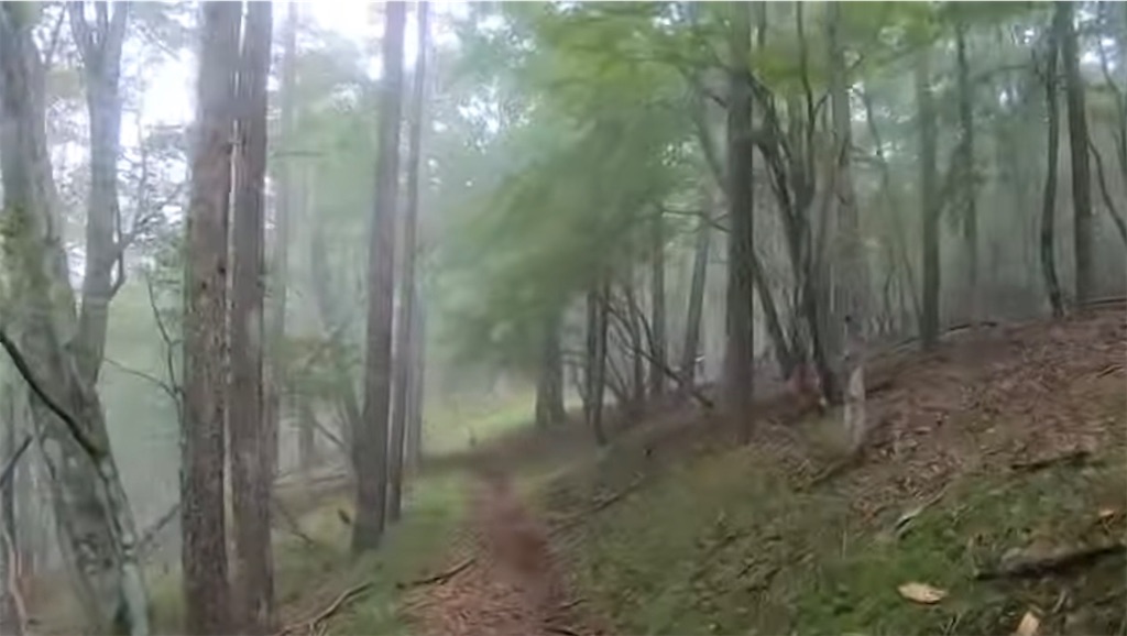 f:id:local-link-lead:20210831182301j:image f:id:local-link-lead:20210831182301j:image