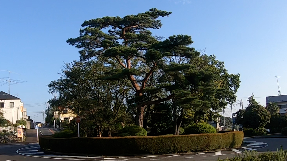 f:id:local-link-lead:20210925121101j:plain