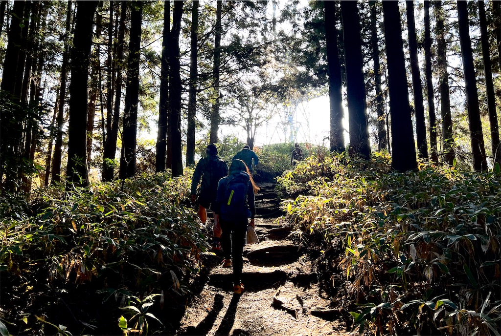 f:id:local-link-lead:20211125181058j:image