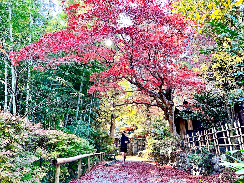 f:id:local-link-lead:20211206185202j:image