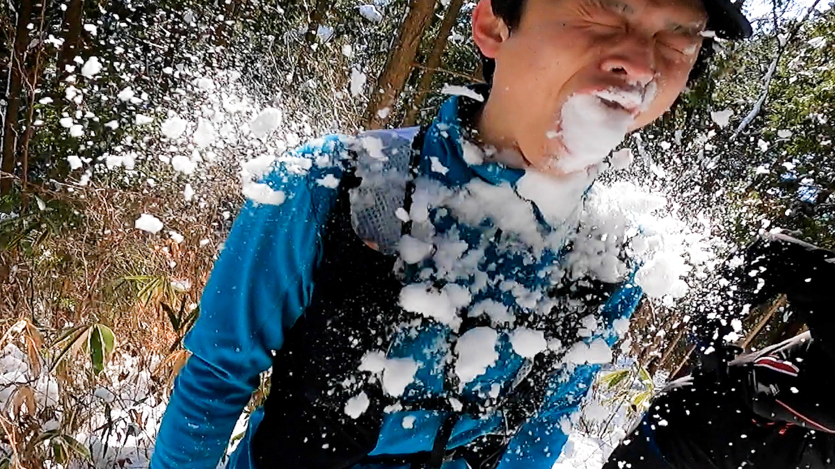 f:id:local-link-lead:20220219114621j:plain