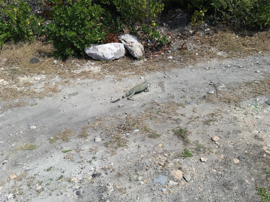 f:id:lockrachelcole:20190429090704j:image