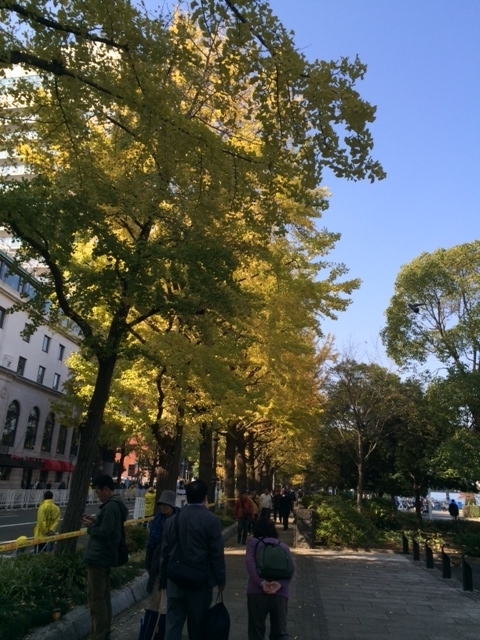 f:id:locomoco123:20131117114826j:image f:id:locomoco123:20131117114826j:image